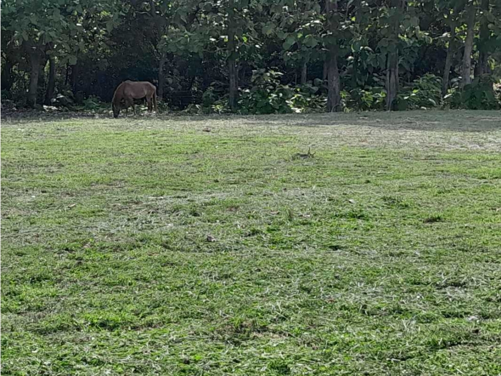 VENTA DE TERRENO EN LAS LAJAS, CERCA DE CORONADO - 3