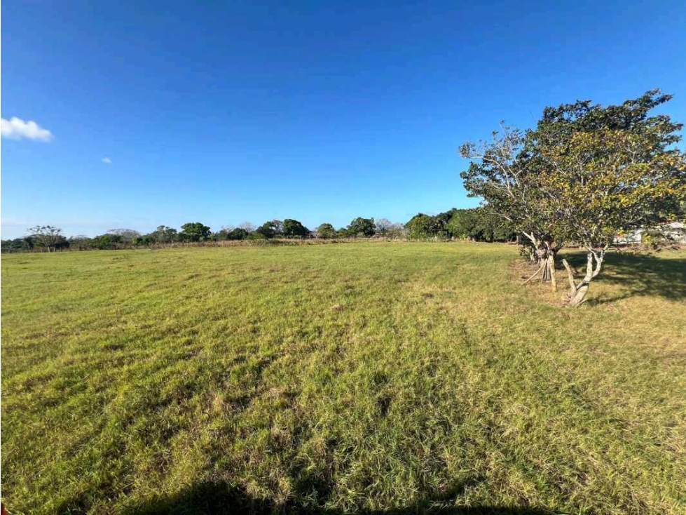 VENTA DE TERRENO EN PEDASI LOS SANTOS 15,276M2 - 4