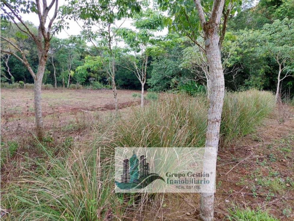 VENTA DE TERRENO EN POTRERILLO ABAJO 8,306 METROS - 2