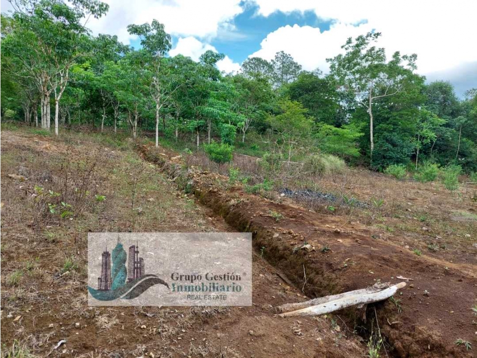 VENTA DE TERRENO EN POTRERILLO ABAJO 8,306 METROS - 3