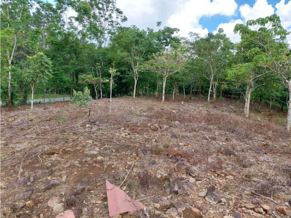 VENTA DE TERRENO EN POTRERILLO ABAJO 8,306 METROS - 5