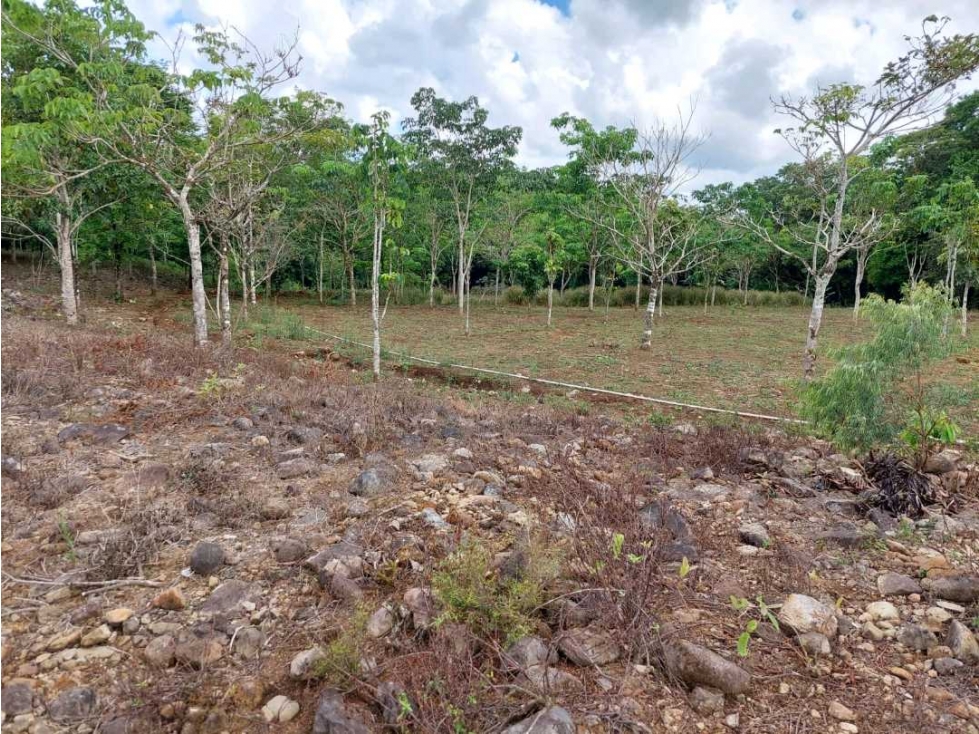 VENTA DE TERRENO EN POTRERILLO ABAJO 8,306 METROS - 6