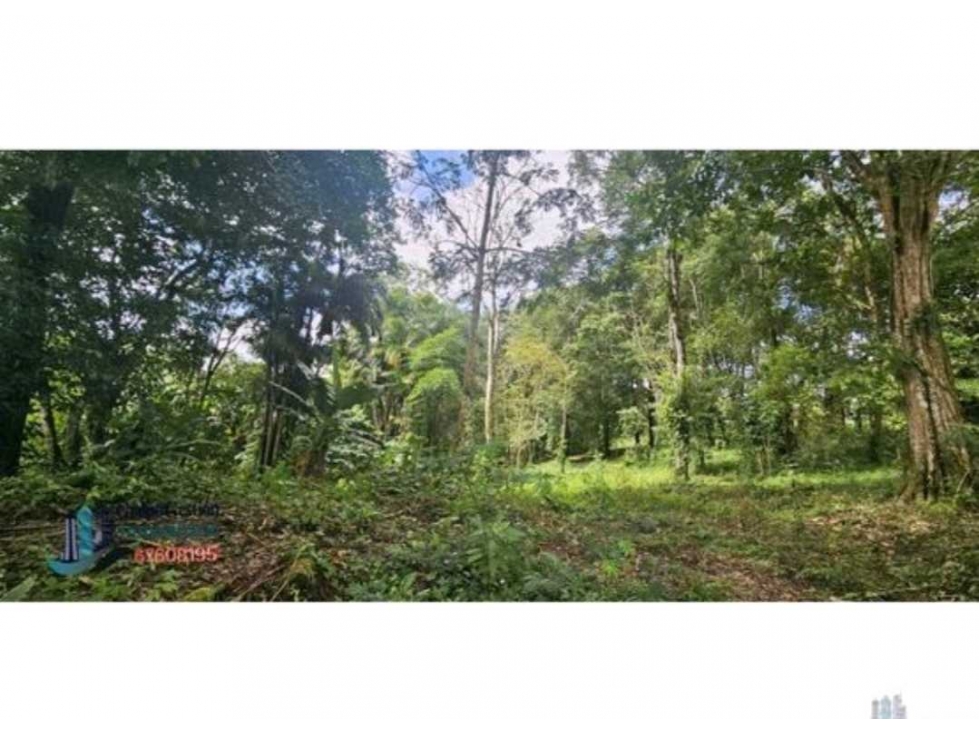 VENTA DE TERRENO EN POTRERILLO - 2