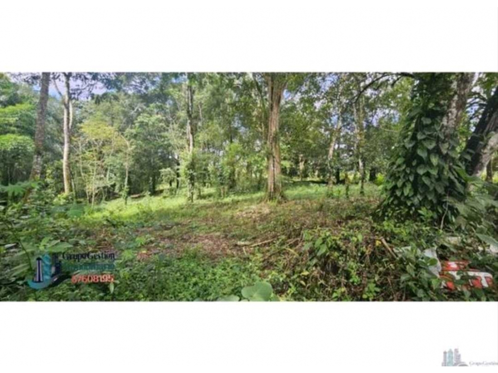 VENTA DE TERRENO EN POTRERILLO - 3
