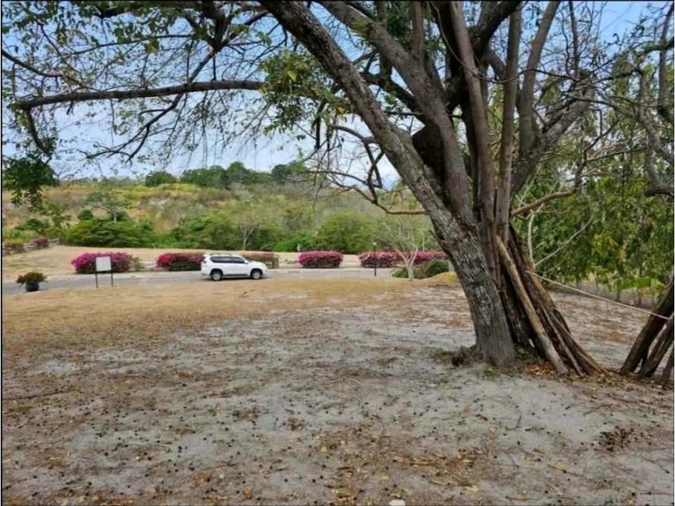 VENTA DE TERRENO EN PUNTA BARCO PRECIO DE OPORTUNIDAD 925m2 JP — foto 6