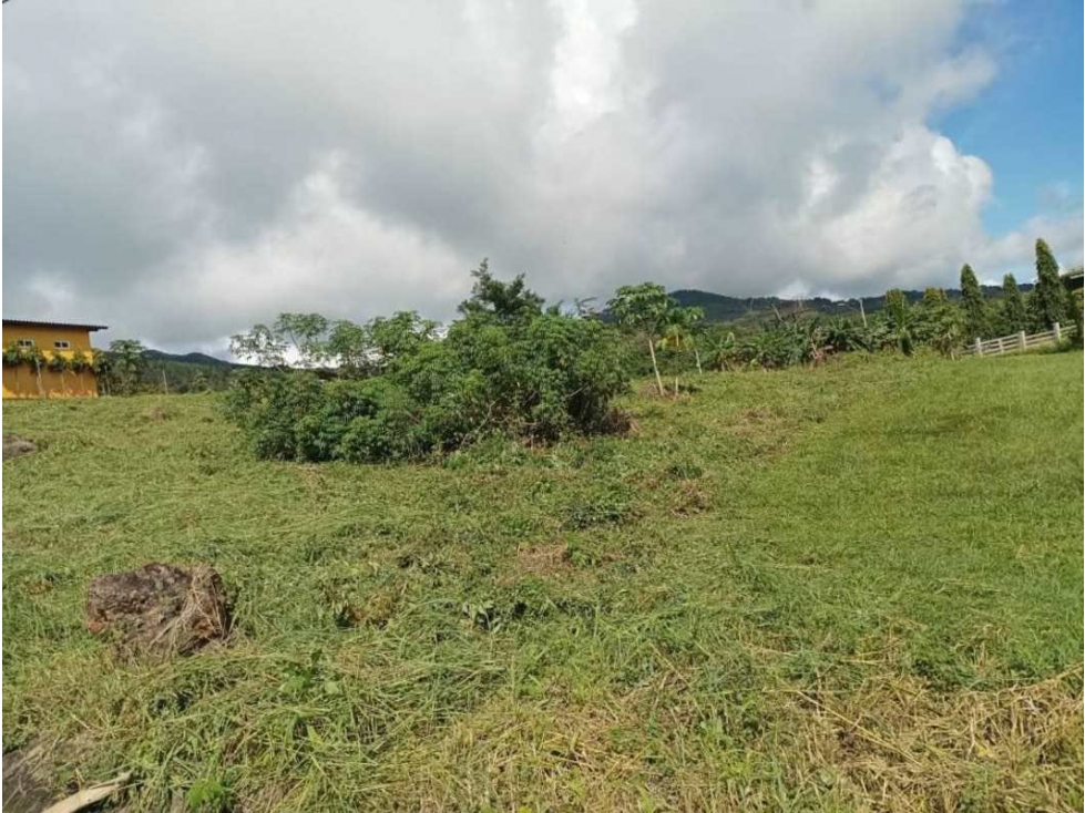 VENTA DE TERRENO EN SAJALICES CHAME PRECIO DE OPORTUNIDAD 1000M2 JP — foto 3