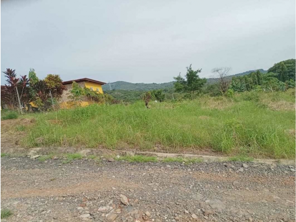 VENTA DE TERRENO EN SAJALICES CHAME PRECIO DE OPORTUNIDAD 1000M2 JP — foto 6