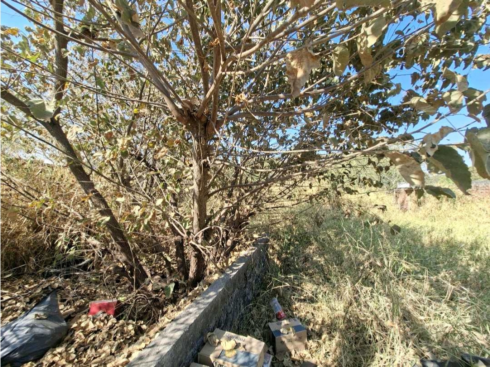 VENTA DE TERRENO EN SAN GASPAR JIUTEPEC CESIÓN DE DERECHOS - 3