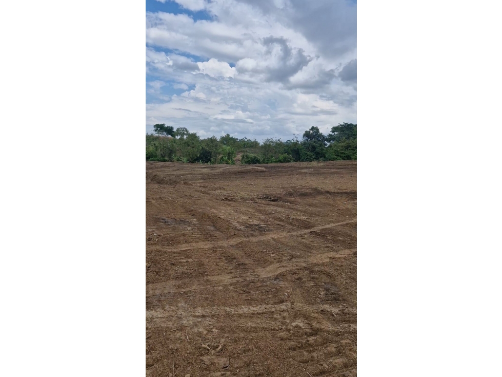 VENTA DE TERRENO DE 15,000M2 EN LAS MAÑANITAS | TOCUMEN - 3