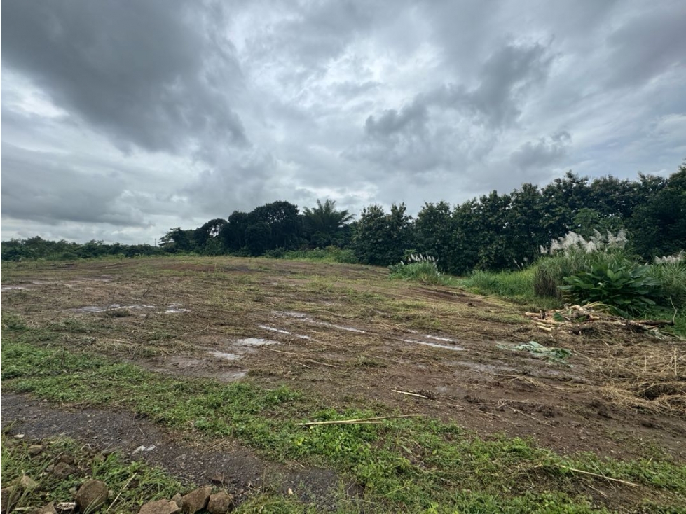VENTA DE TERRENO DE 15,000M2 EN LAS MAÑANITAS | TOCUMEN - 6