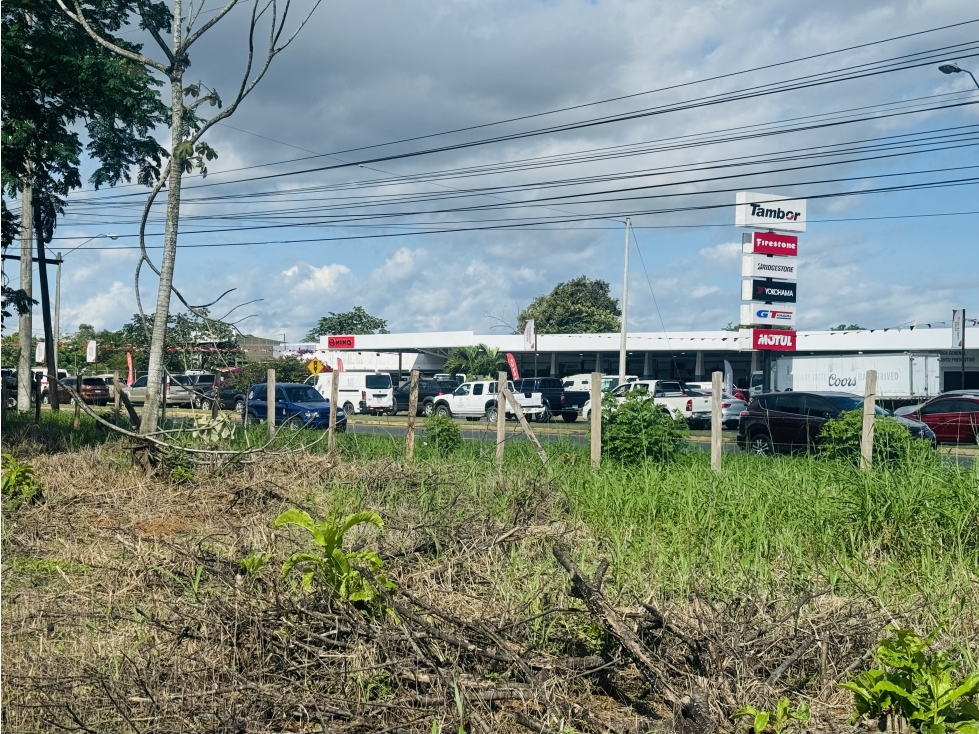 Venta de terreno en vía interamericana, David, Chiriquí - 2