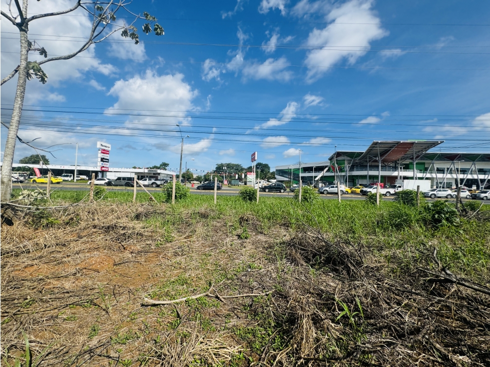 Venta de terreno en vía interamericana, David, Chiriquí - 3