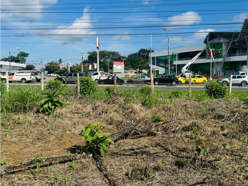 Venta de terreno en vía interamericana, David, Chiriquí - 4