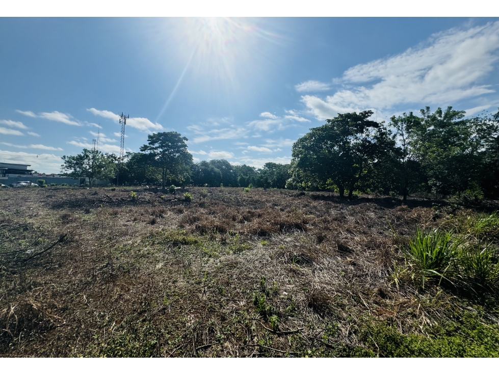 Venta de terreno en vía interamericana, David, Chiriquí - 5