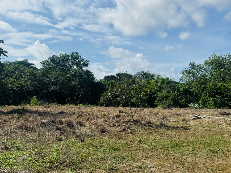 Venta de terreno en vía interamericana, David, Chiriquí - 6