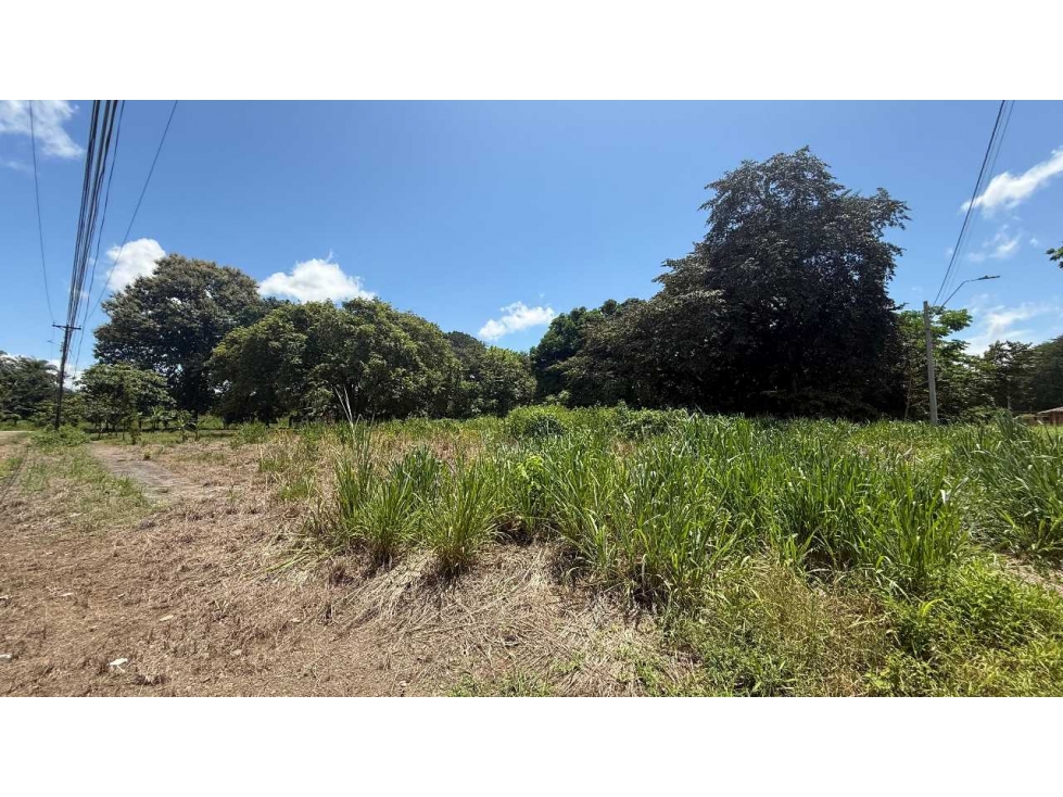 VENTA DE TERRENO ESQUINA 991.74 M2 CERCA DE LA VIA INTERAMERICANA — foto 2