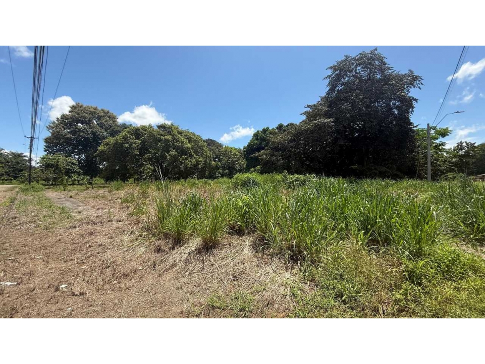 VENTA DE TERRENO ESQUINA 991.74 M2 CERCA DE LA VIA INTERAMERICANA — foto 3