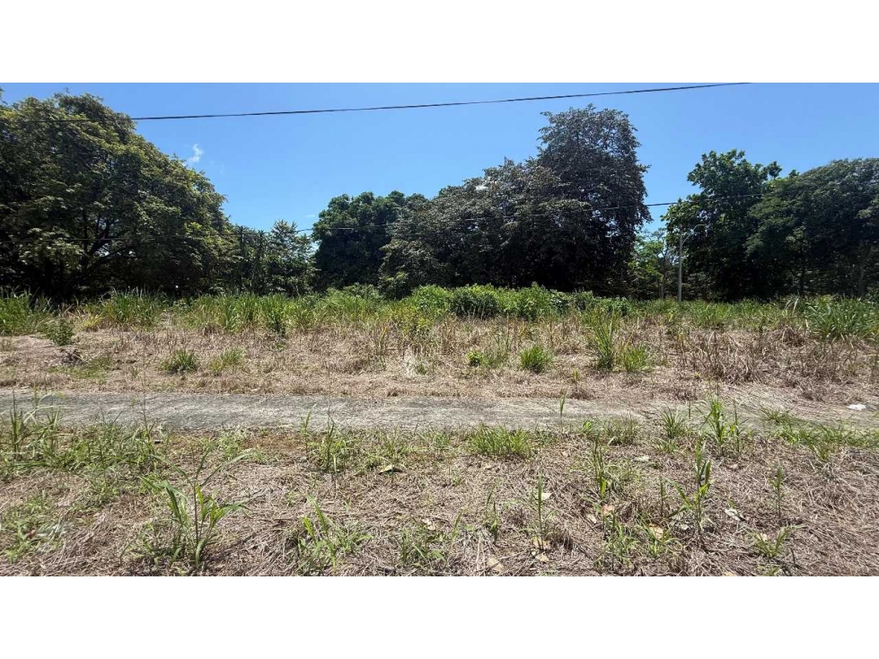 VENTA DE TERRENO ESQUINA 991.74 M2 CERCA DE LA VIA INTERAMERICANA — foto 4