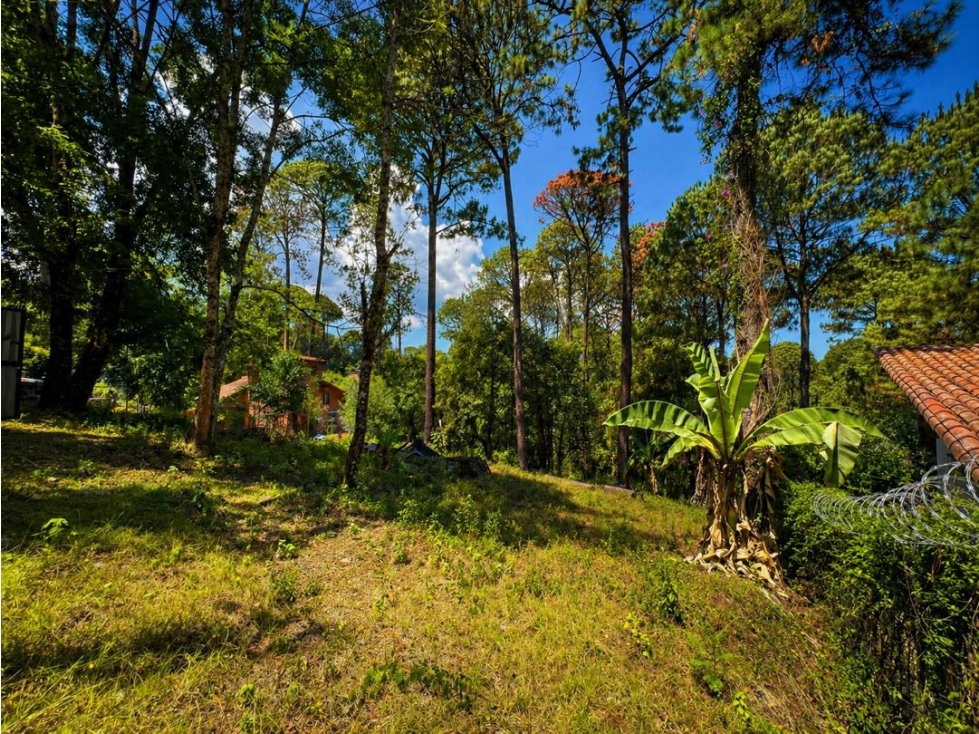 VENTA DE TERRENO I AVANDARO