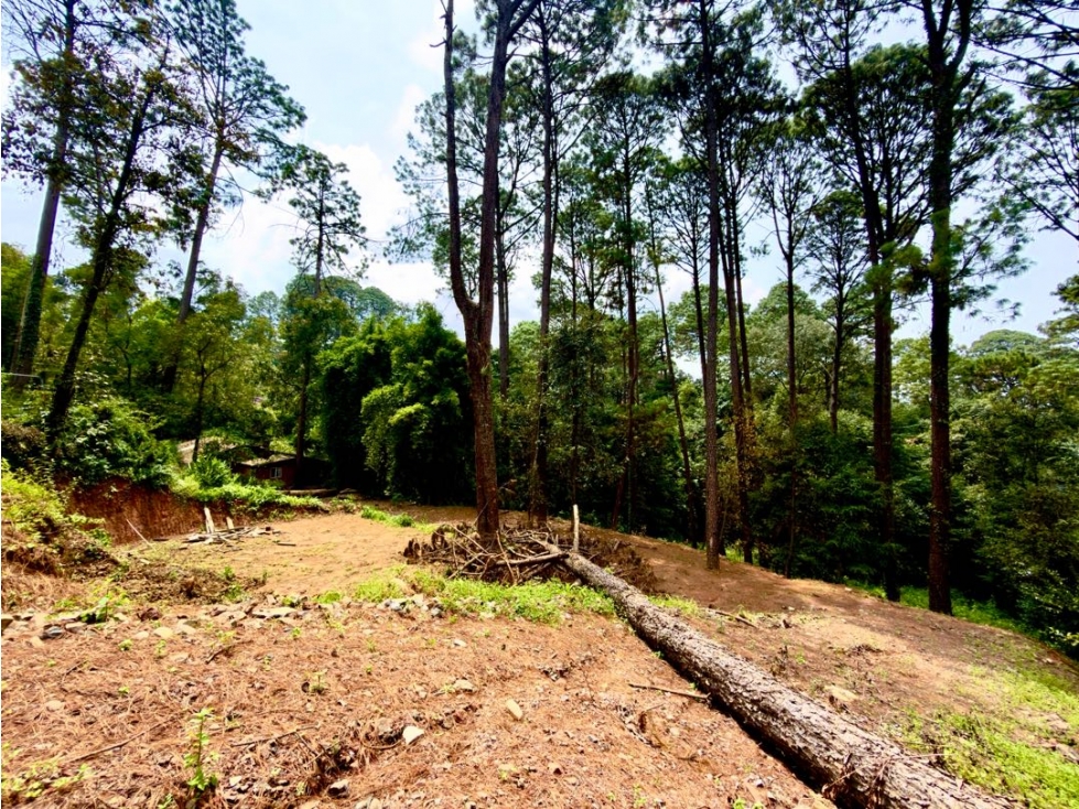 VENTA DE TERRENO I AVANDARO — foto 6