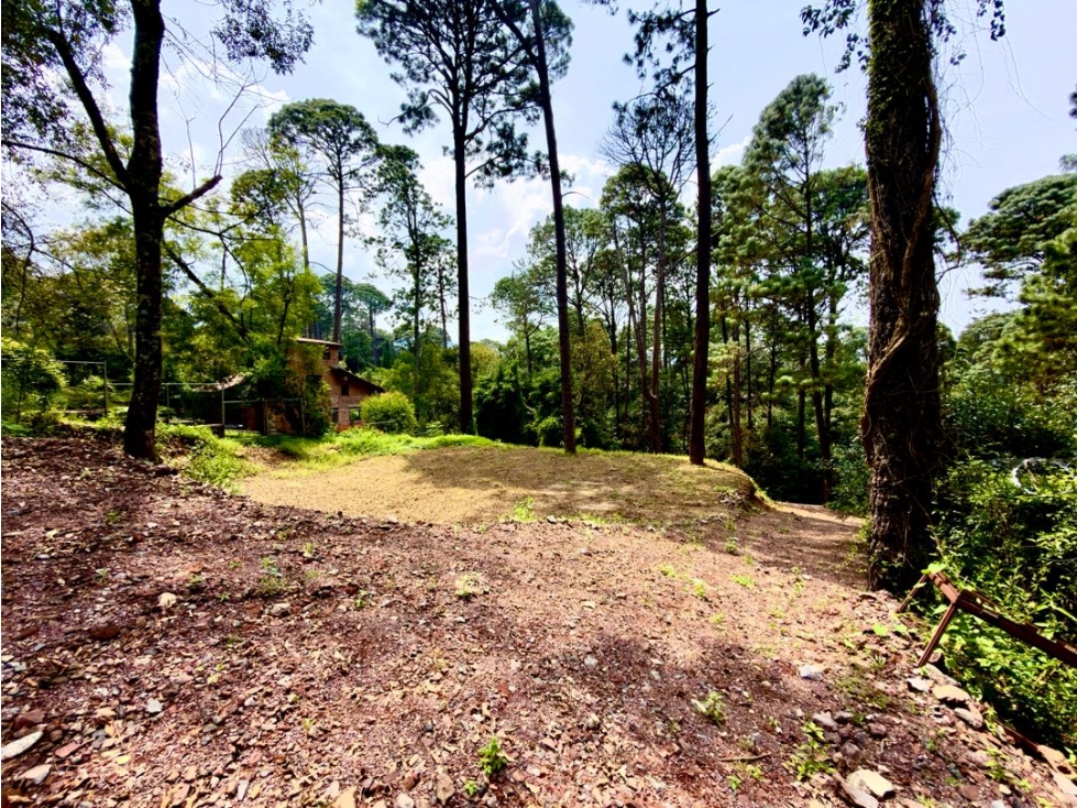 VENTA DE TERRENO I AVANDARO
