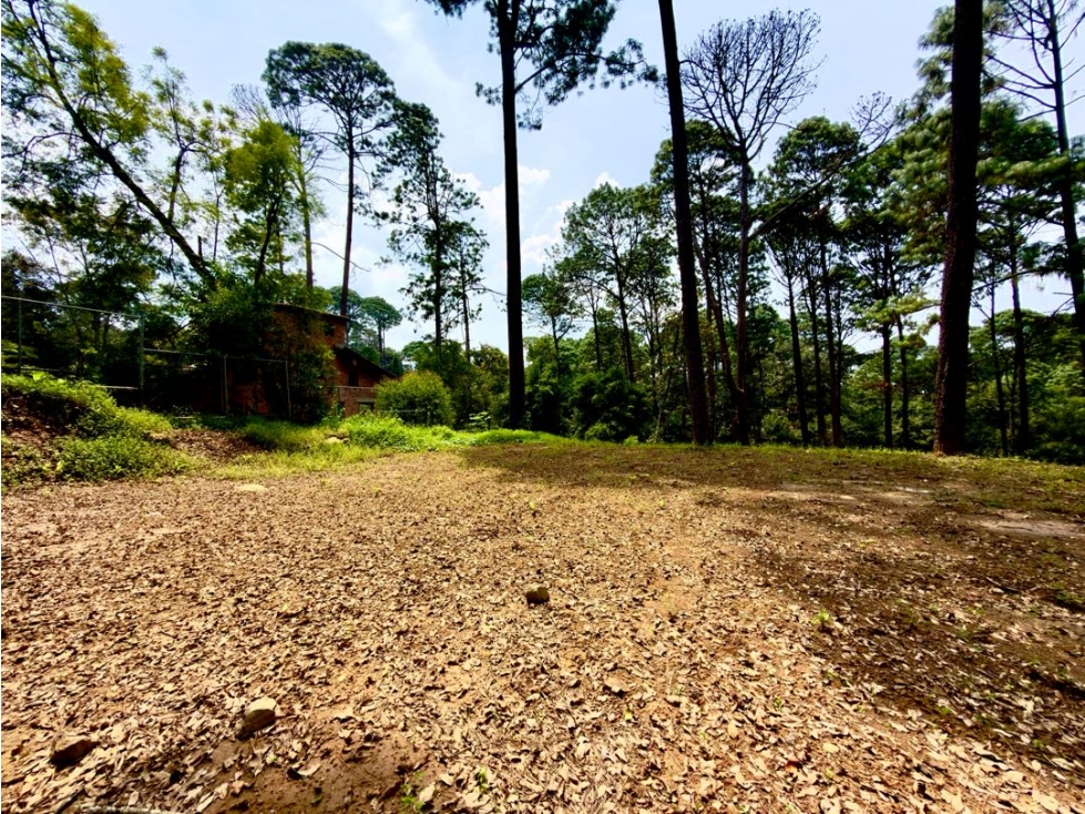 VENTA DE TERRENO I AVANDARO — foto 2