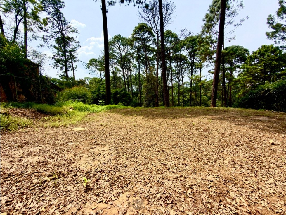VENTA DE TERRENO I AVANDARO — foto 3