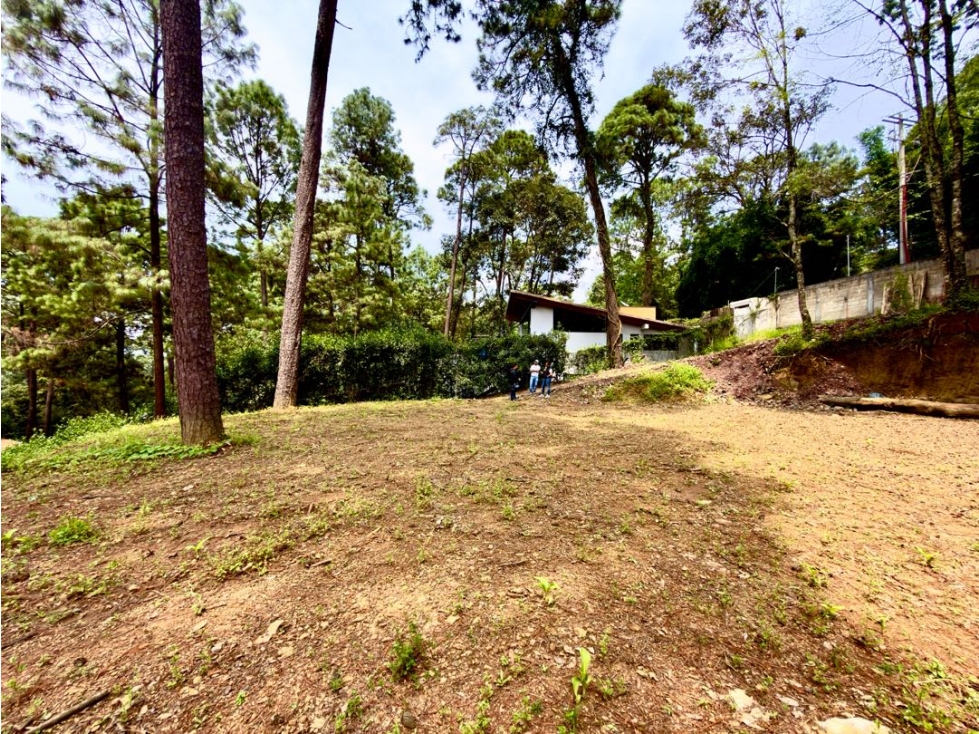VENTA DE TERRENO I AVANDARO — foto 4
