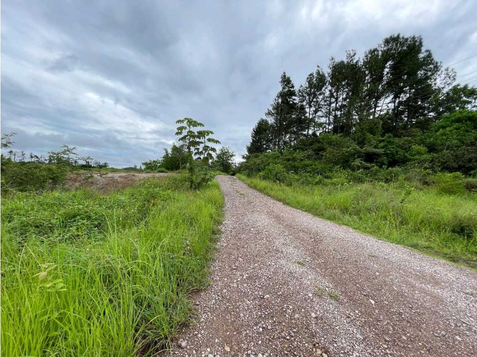VENTA DE TERRENO IDEAL PARA CASA DE CAMPO, TIERRA PRODUCTIVA EN COCLÉ - 4