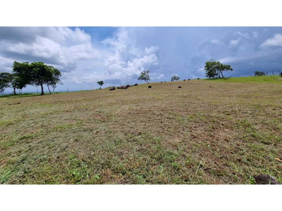 VENTA DE TERRENO LA LAGUNA DE SAN CARLOS - 3