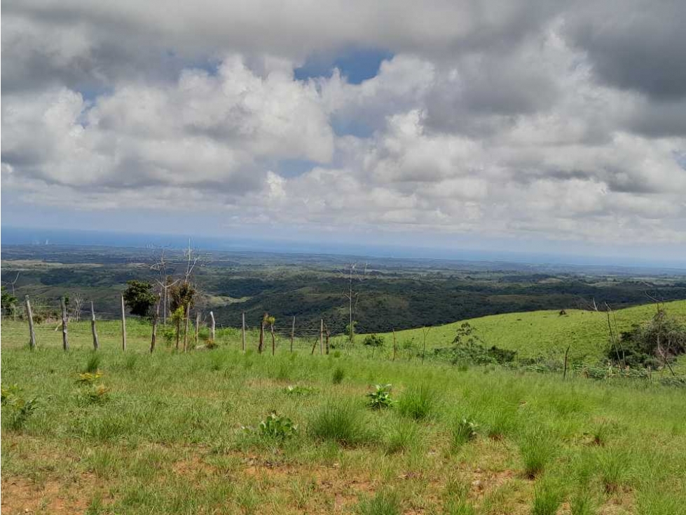 VENTA DE TERRENO LA LAGUNA DE SAN CARLOS - 5