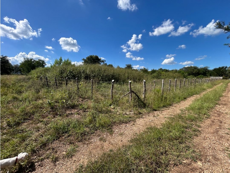 Terreno en Venta, Las Puentes, Montemorelos, N.L. - 2