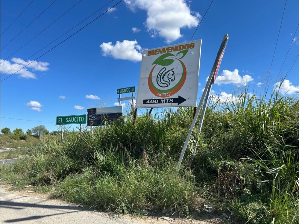 Terreno en Venta, Las Puentes, Montemorelos, N.L. - 3