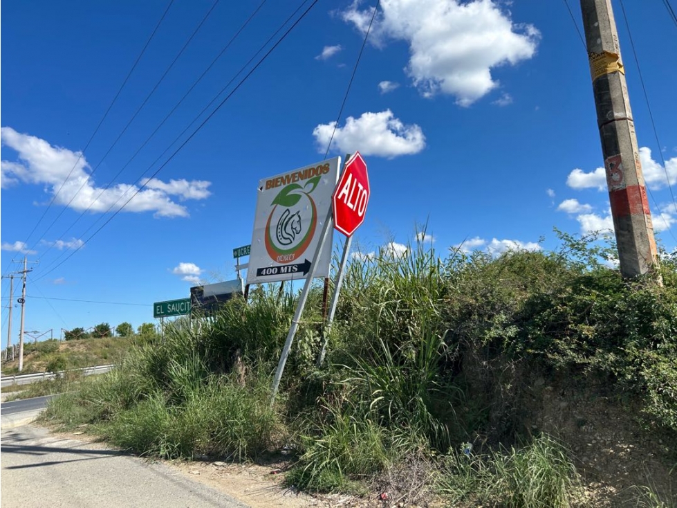 Terreno en Venta, Las Puentes, Montemorelos, N.L. - 4