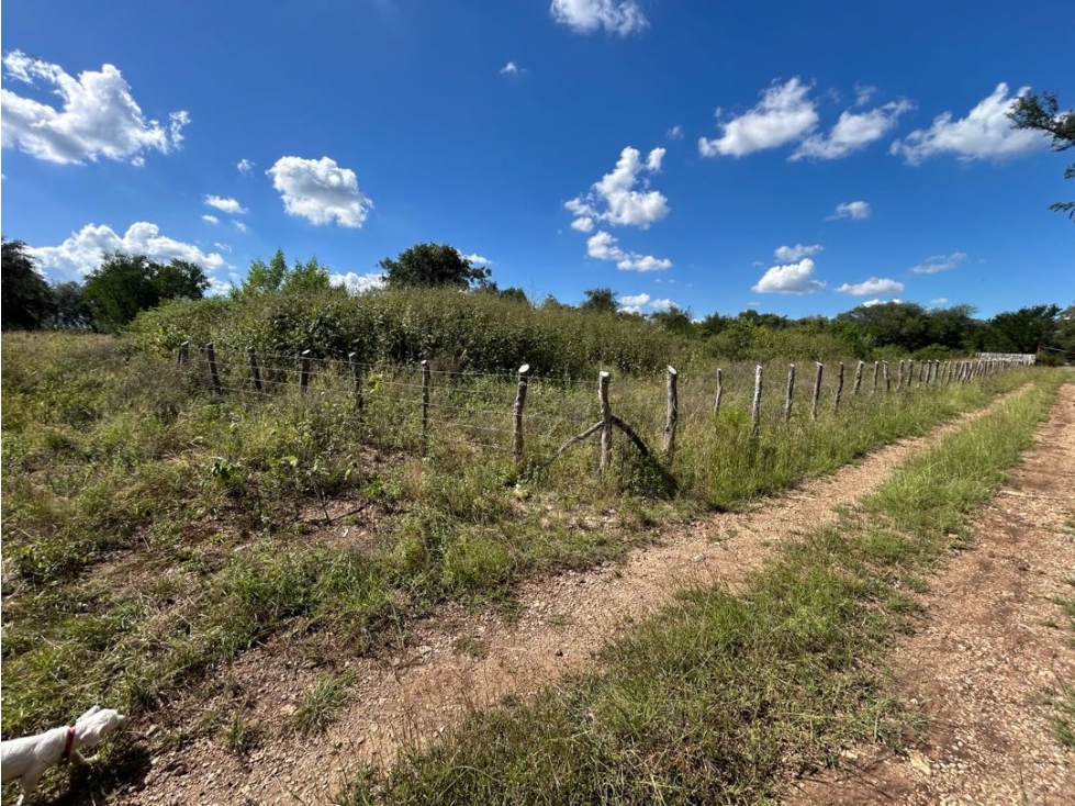 Terreno en Venta, Las Puentes, Montemorelos, N.L. - 6