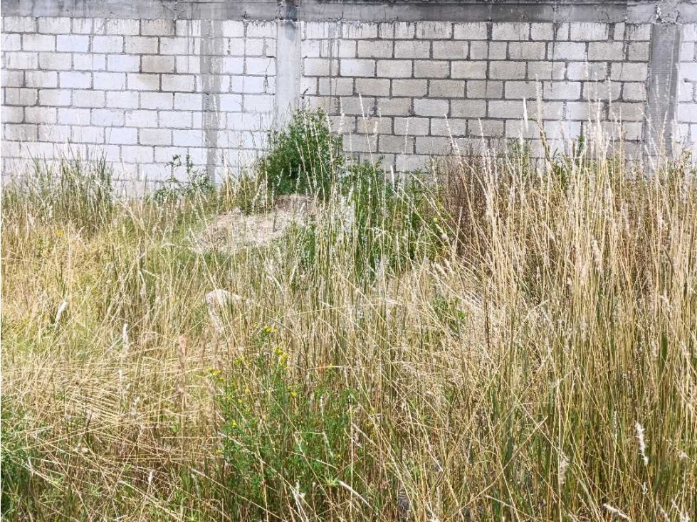 Venta de terreno Santa Ana nopalucan - 1