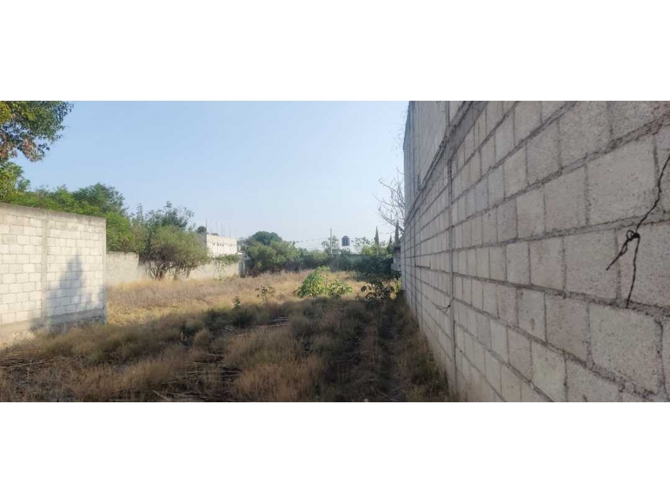 Venta de terreno Zacatelco barrio de xitototla - 6