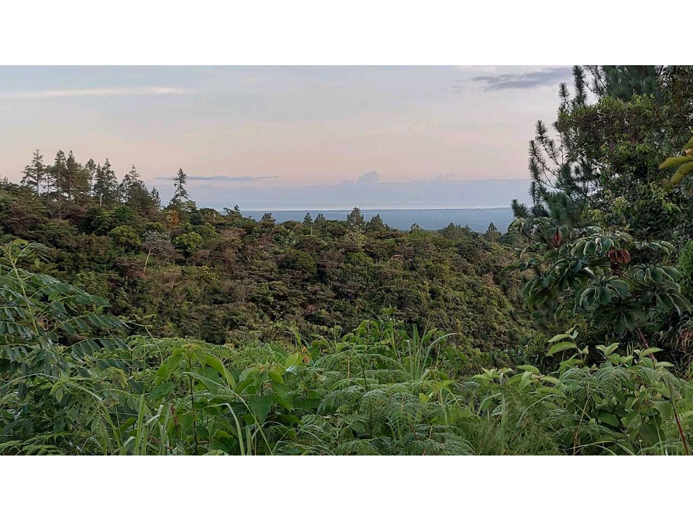VENTA DE TERRENO POTENCIAL INVERSION TURÍSTICA VÍA EL VALLE DE ANTON - 2
