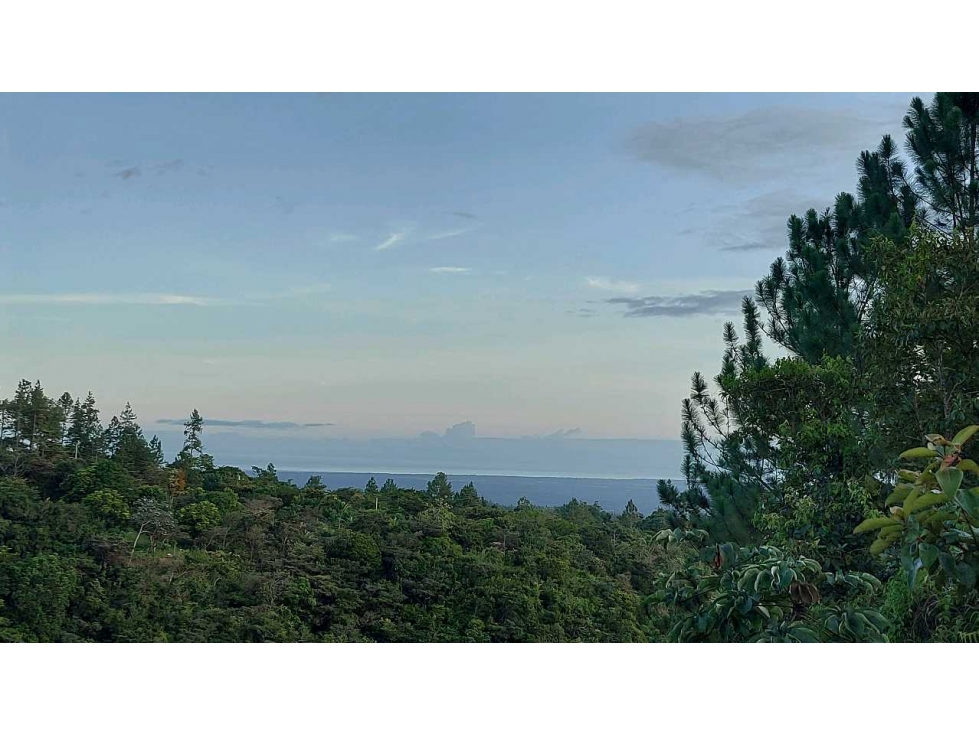 VENTA DE TERRENO POTENCIAL INVERSION TURÍSTICA VÍA EL VALLE DE ANTON - 1