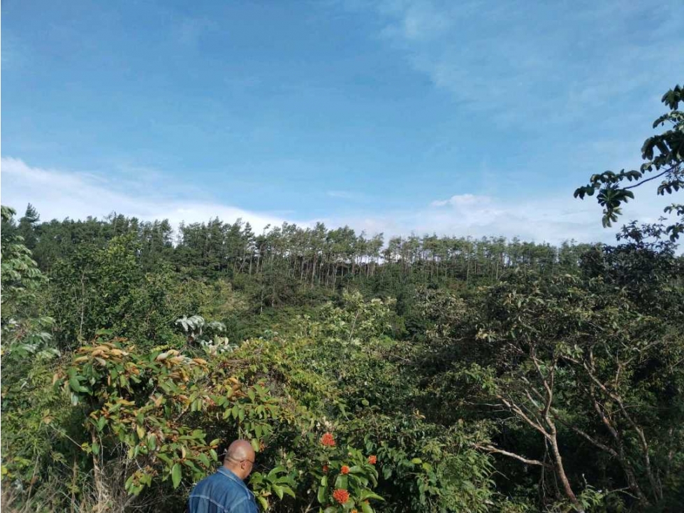 VENTA DE TERRENO POTENCIAL INVERSION TURÍSTICA VÍA EL VALLE DE ANTON - 3