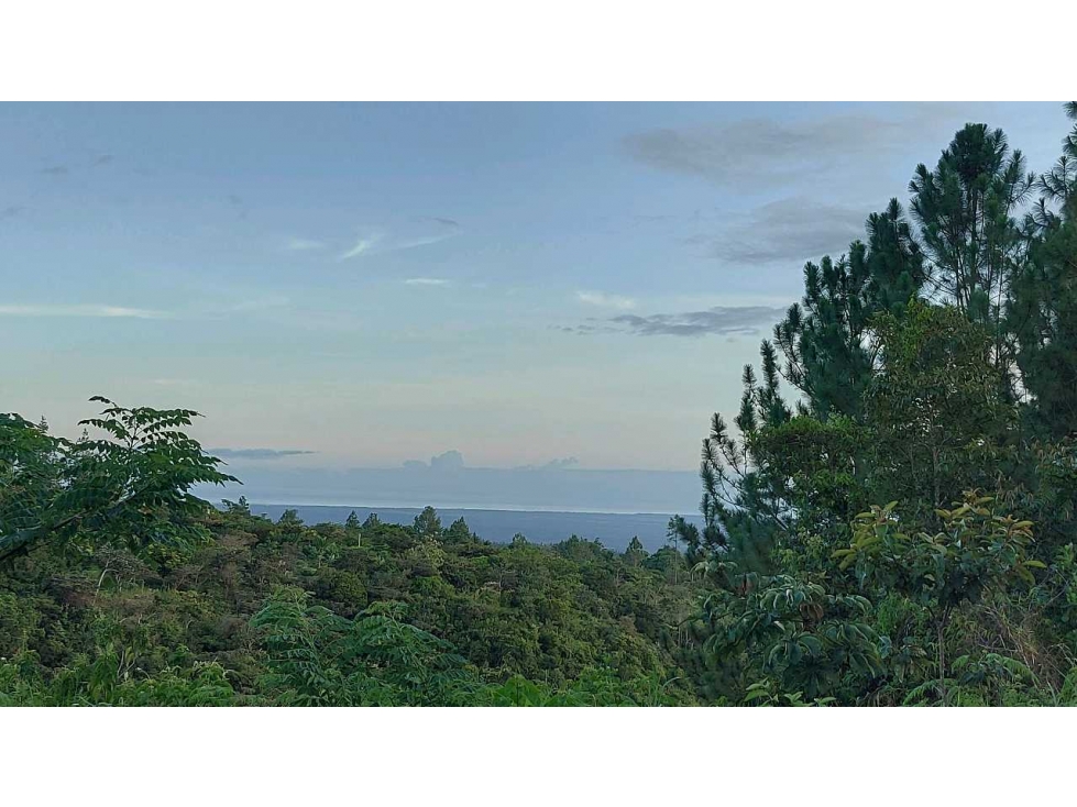 VENTA DE TERRENO POTENCIAL INVERSION TURÍSTICA VÍA EL VALLE DE ANTON - 6