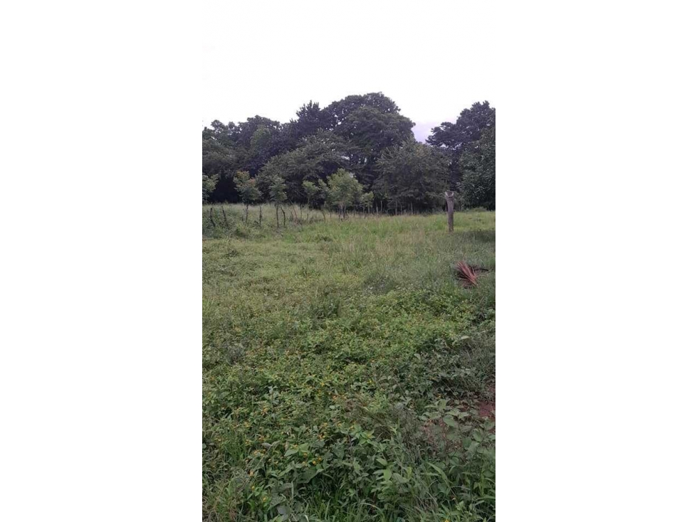 VENTA DE TERRENOS EN SANTIAGO B/. 24 X MT NEGOCIABLE - 5