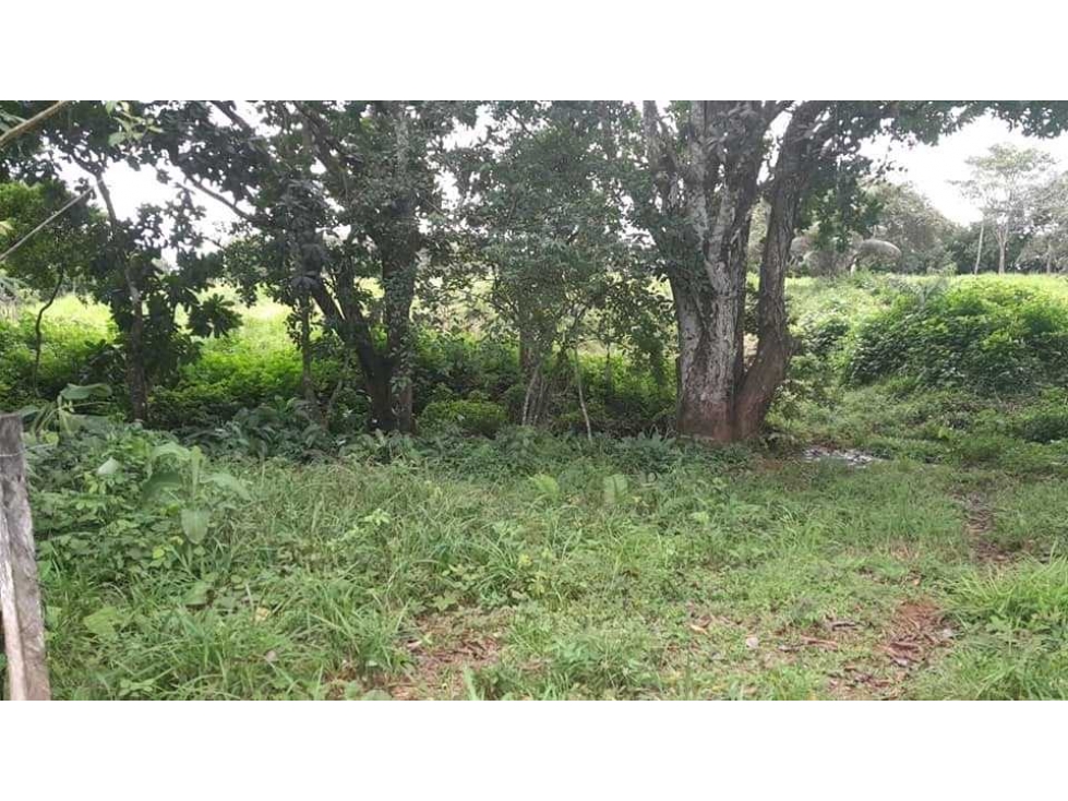 VENTA DE TERRENOS EN SANTIAGO B/. 24 X MT NEGOCIABLE - 6