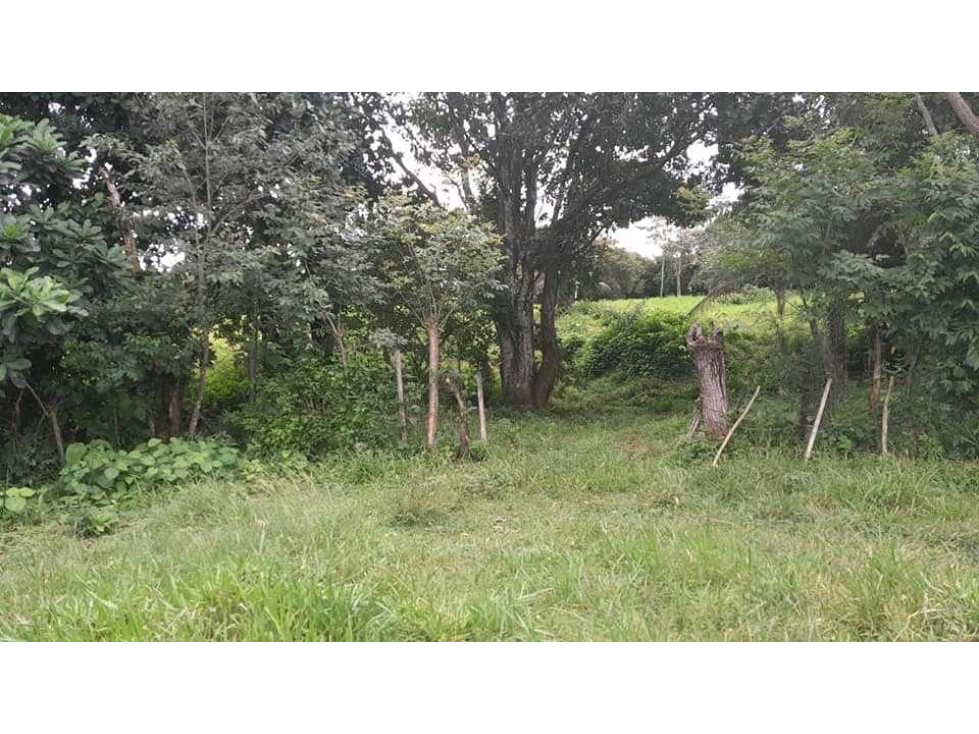 VENTA DE TERRENOS EN SANTIAGO B/. 24 X MT NEGOCIABLE - 4