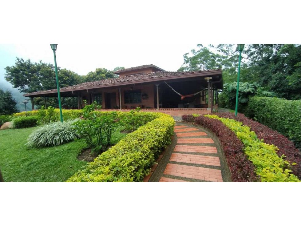 VENTA DE FINCA EN AMAGÁ - SUROESTE ANTIOQUEÑO - 2