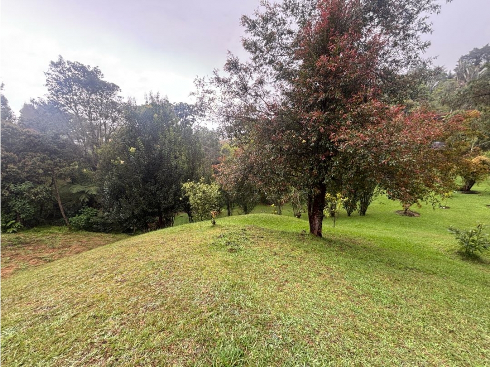 Lote en venta 5.000 m² en Rancherías, Rionegro — foto 4