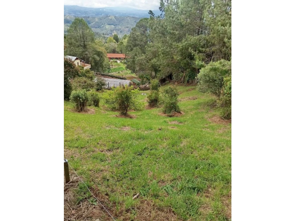 Venta en FINCA SANTA ELENA — foto 4
