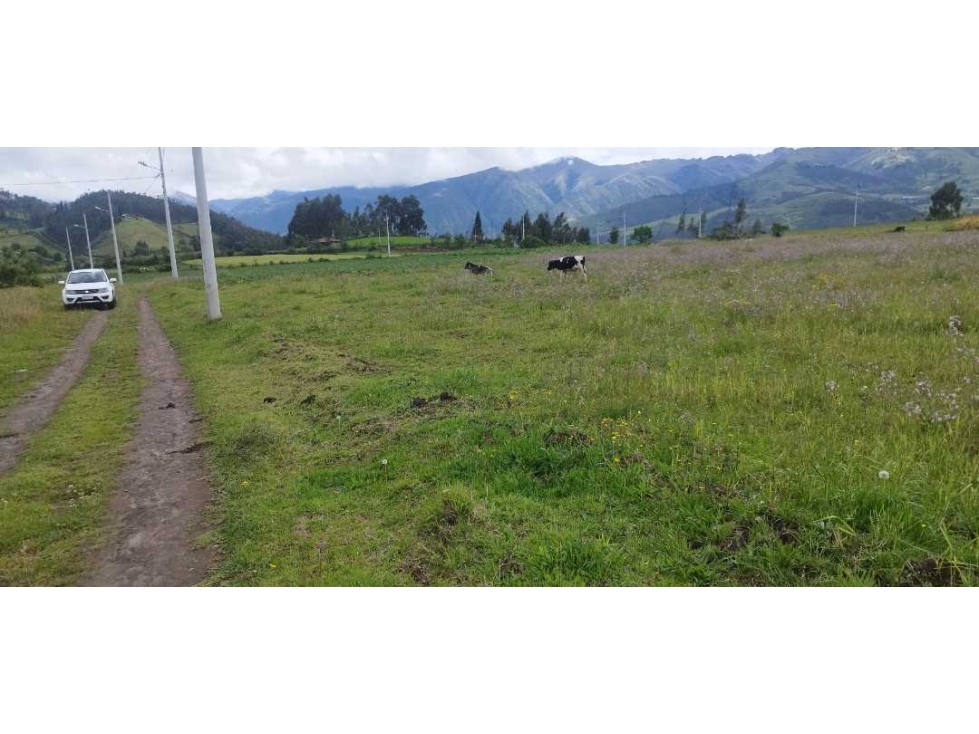 ¡Venta Espectacular! Terreno Ideal para tu Casa de Campo - 3
