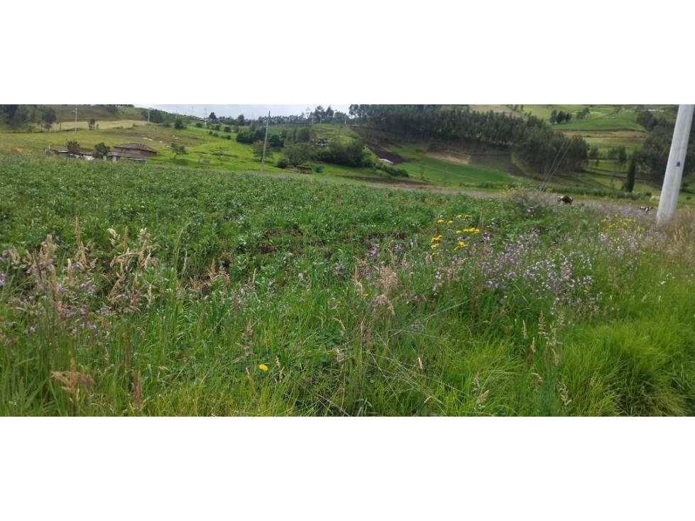 ¡Venta Espectacular! Terreno Ideal para tu Casa de Campo - 6