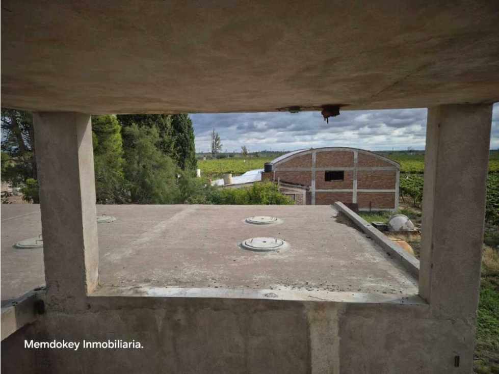 VENTA EXCEPCIONAL DE 99 HAS- EN SAN MARTIN, MENDOZA - 4